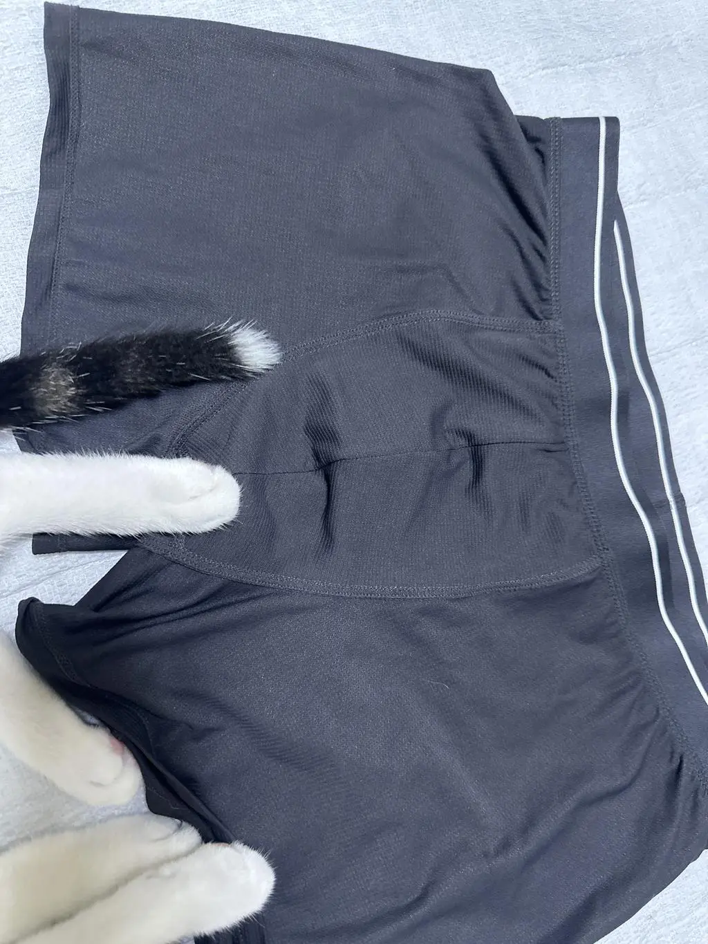 7장 전부 차콜 색상입니다  어떻게 색상 확인도 안하고 보내주세요? 돈아까워요 