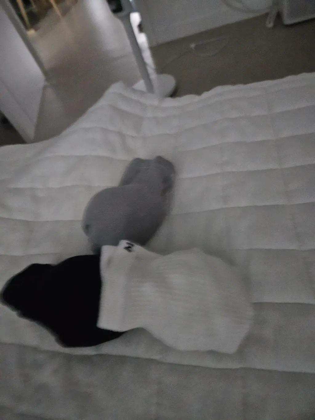 촉감이 너무 부들 하고 좋아요
