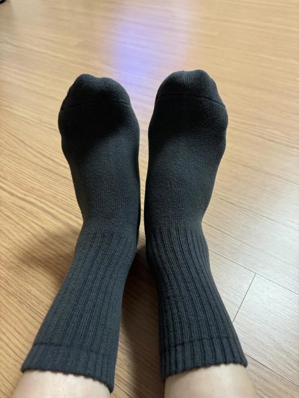 일반 데일리 넘나 잘신고 있는데 겨울철 기모기모 신상 나왔다고 알림와서 추가 구매했