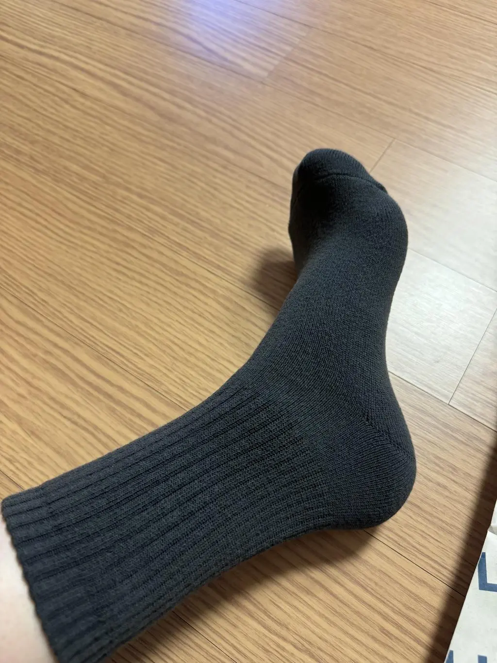 일반 데일리 넘나 잘신고 있는데 겨울철 기모기모 신상 나왔다고 알림와서 추가 구매했