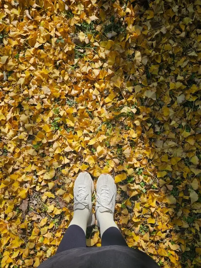 발이편하고이쁩니다
