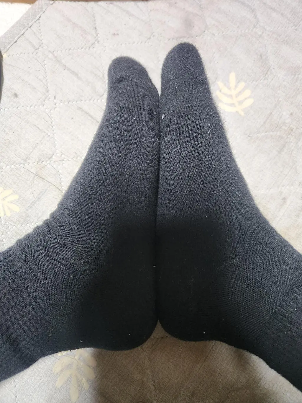 발작은 사람으로 처음 맘에드는 양말을 신었어요
