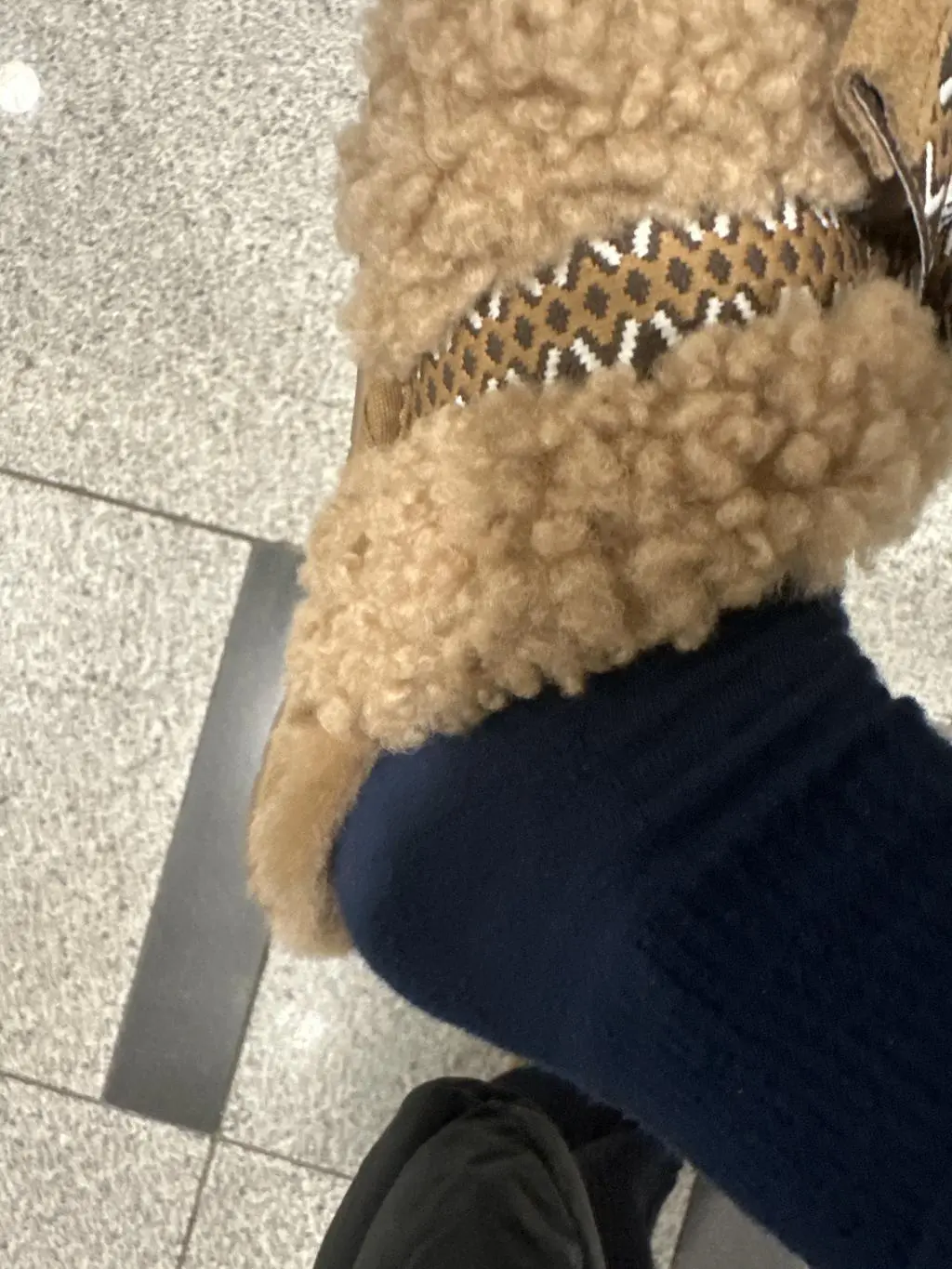 너무 맘에들어여 아이가 이것만 신으려고 하네여