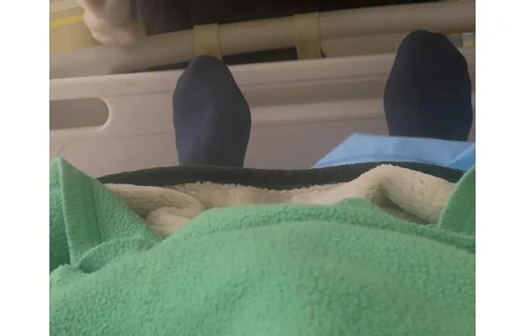 수족 냉증 심하신 분들은 이 양말 입니당 ㅎㅎㅎ
