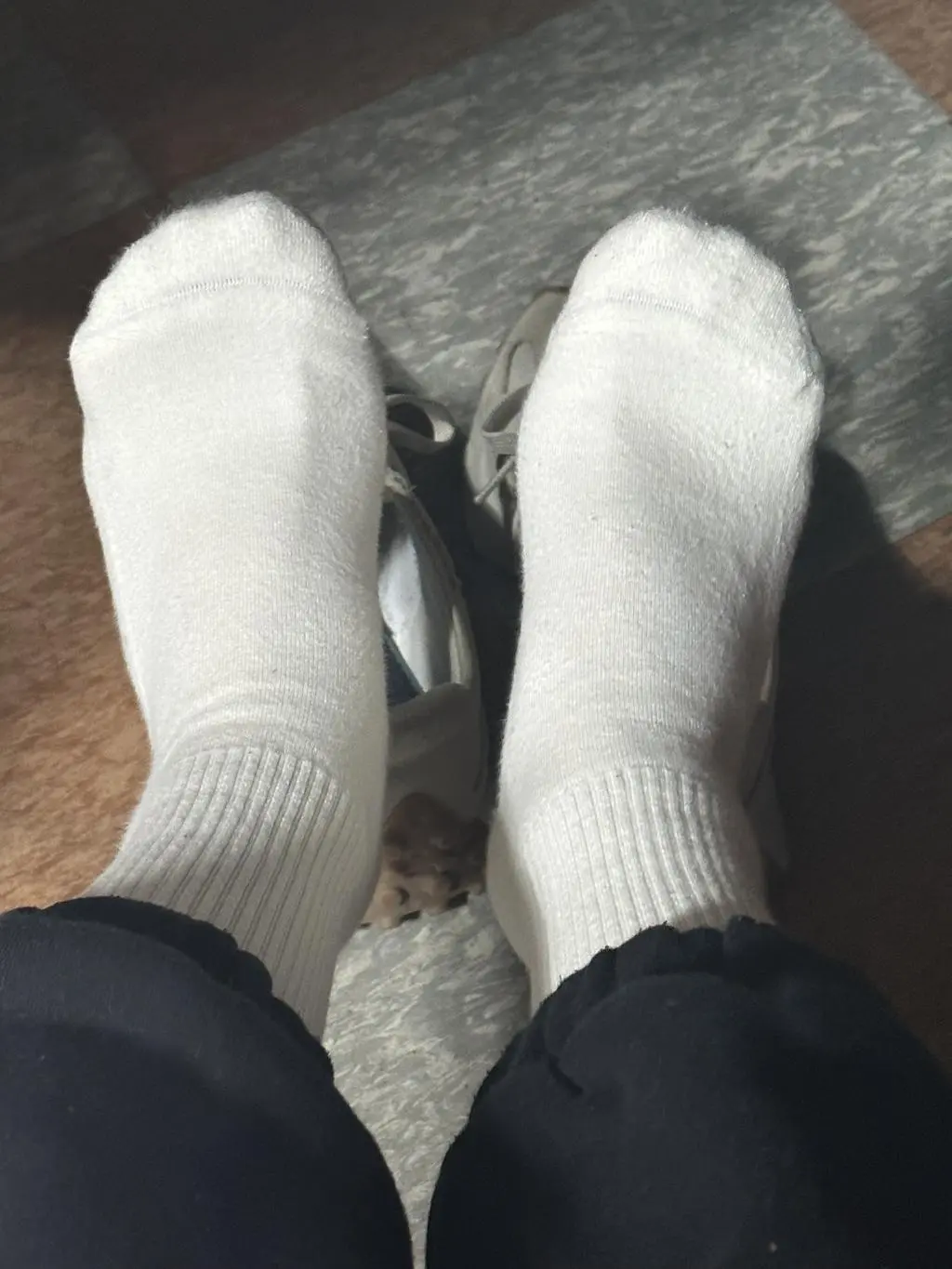 족저근막염 알고리즘으로 인스타 광고 뜨길래 구매했어요
