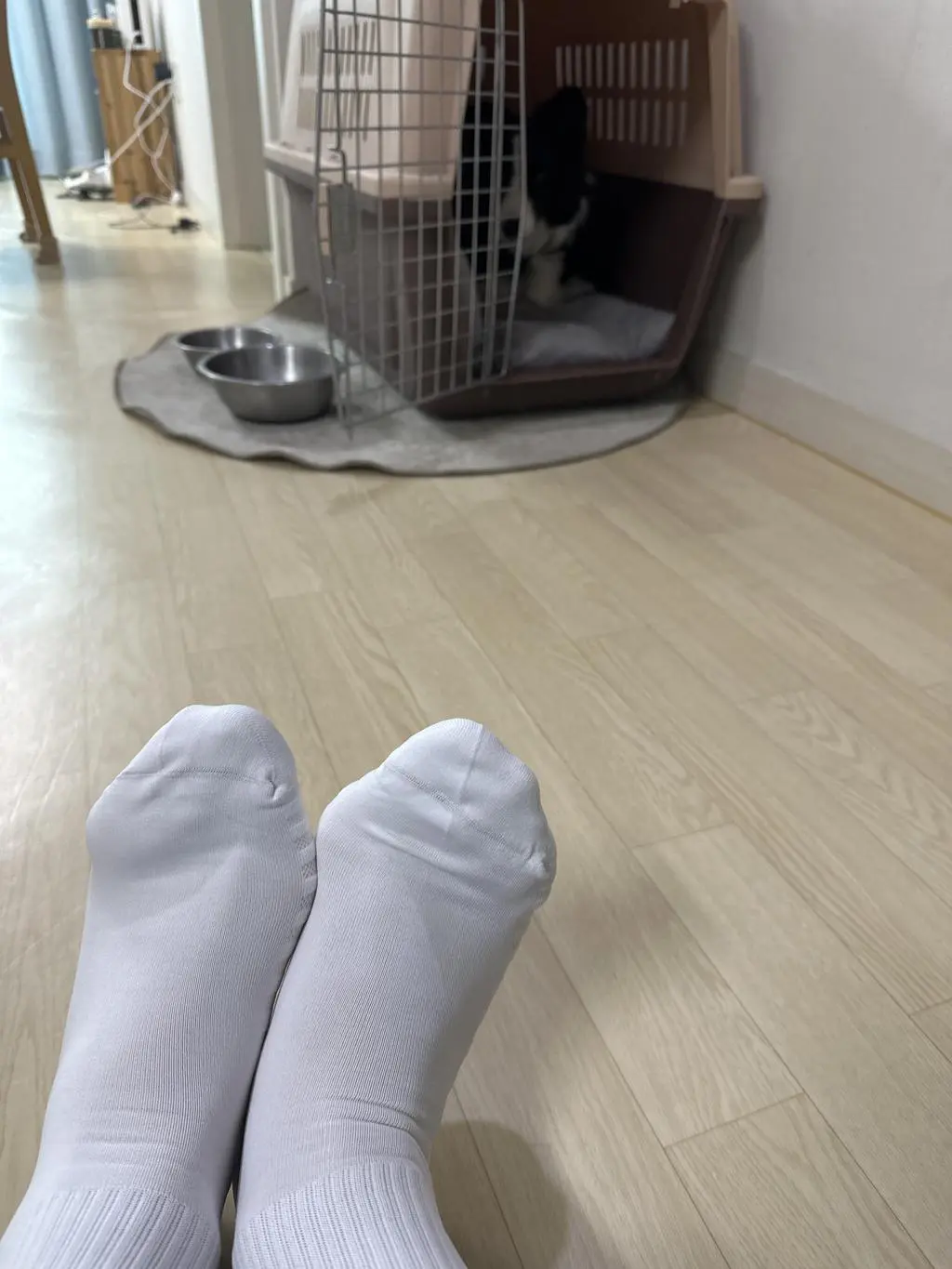 아이들 졸업 선물로 양말 준비했는데 다들 촉감이 너무 좋다고 합니다. 저도 양말은 그