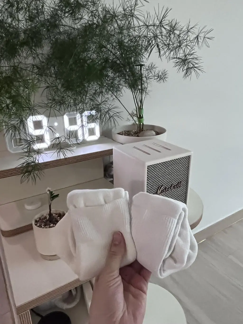 왼쪽이 메리노 오른쪽이 데일리! 
