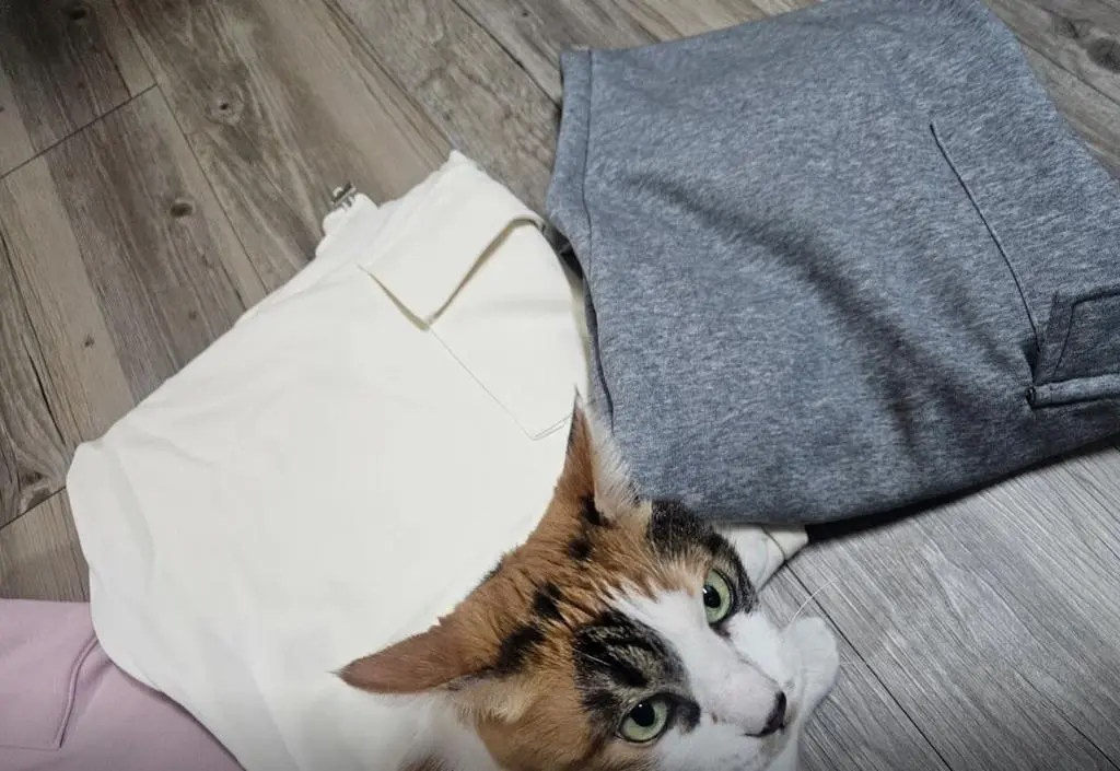 요 며칠 추워서 사봤는데 따뜻해서 좋네요 색상별로 다 샀습니다 ㅎㅎ 고양이는 덤~