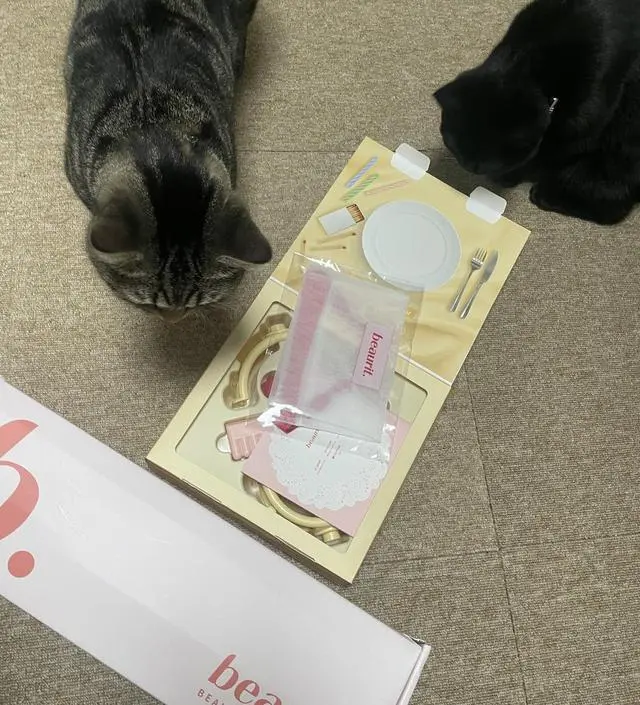 처음 이용해봤는데요 
