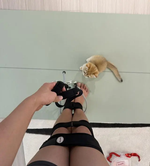 퇴근하고 일정이 규칙적이지않아서 코클 맘껏들을 수 있는게 생겼음 좋겠다~했는데 딱 