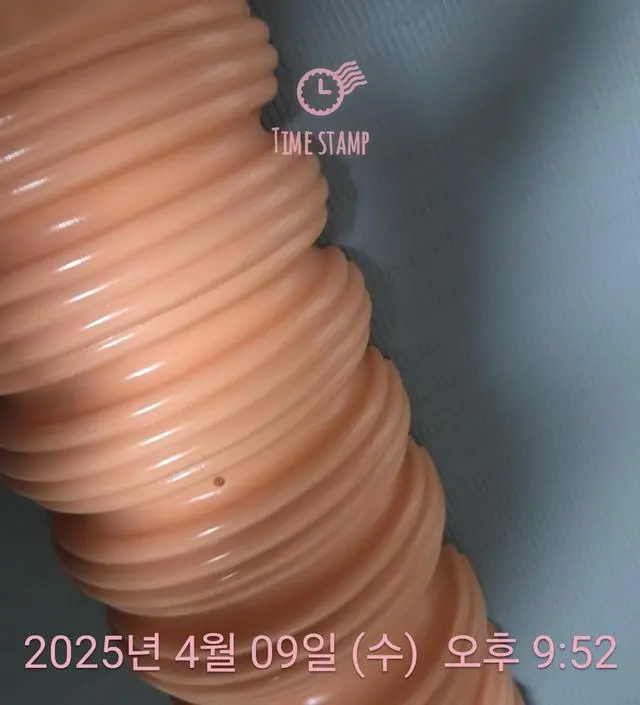 꾸준히하고 있는뷰릿♡
