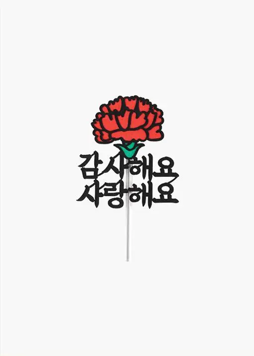 토퍼 - 카네이션