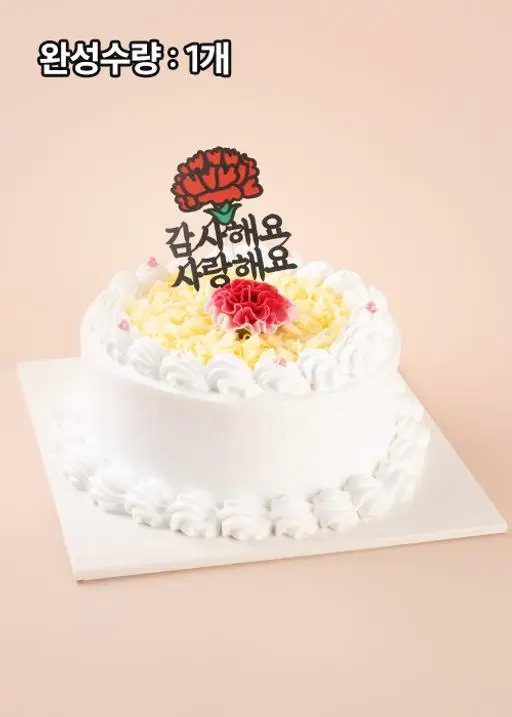 [만들기세트] 카네이션 감사 케이크 - 포장까지 완벽구성