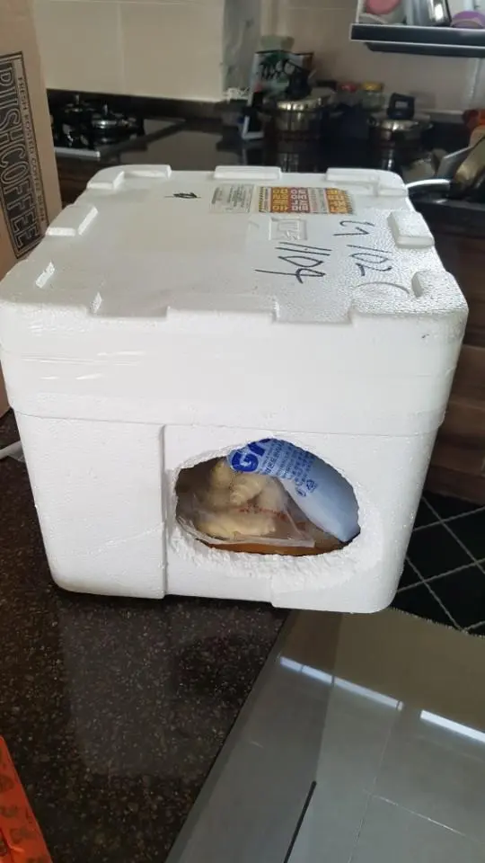 이건 너무해요
