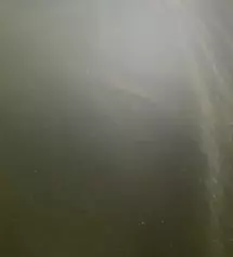 무난하고 가성비 좋은 옷인거 같아요 기모가 있어서 따뜻해요