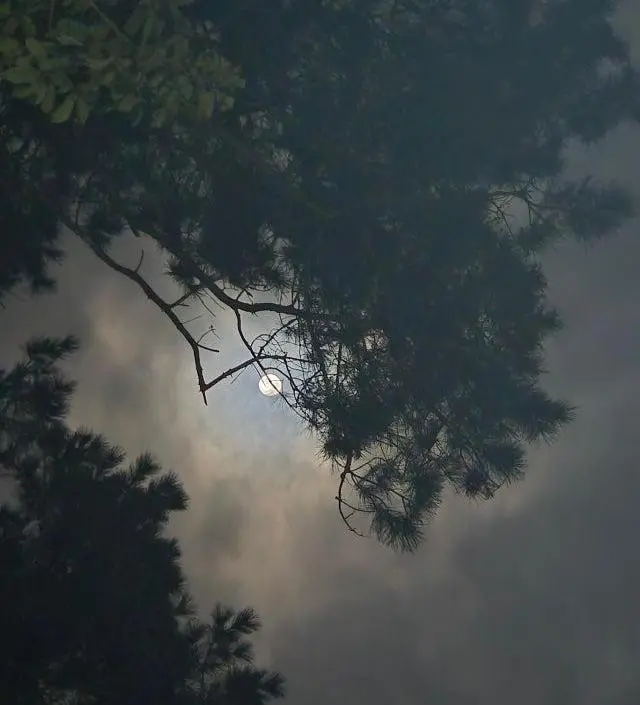 빠른배송 감사드립니다
