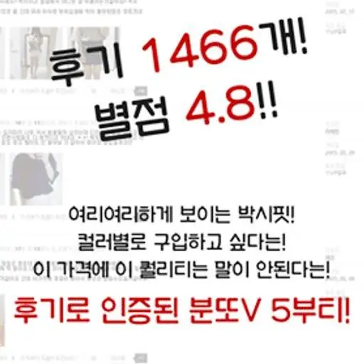 분또V 5부티"고고싱 베이직라인"