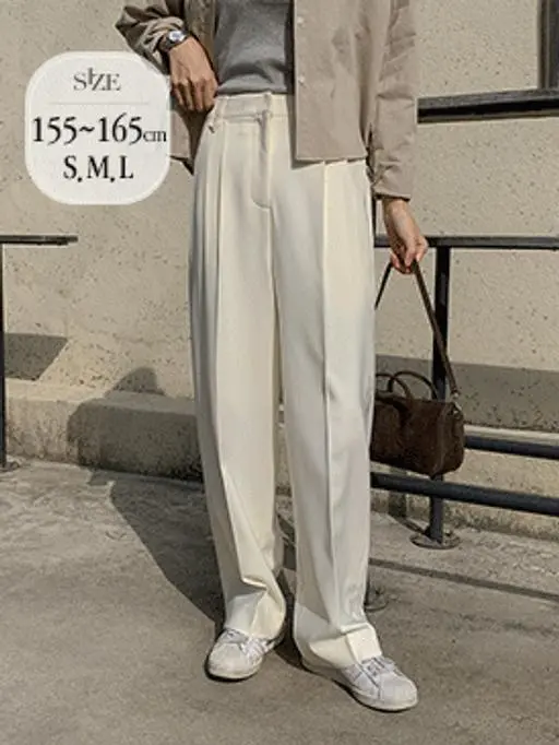 [오늘출발] 비죠 투핀턱 슬랙스 (스판슬랙스,와이드슬랙스,와이드팬츠,핀턱슬랙스,간절기,하객룩,출근룩)