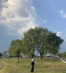 키가 작은편 이여서 길이는 수선할 생각으로 구매했는데
