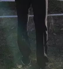 골반 넓고 허벅지에 살이 많은 타입이라하체가 슬랙스, 특히 부츠컷 슬랙스는 한번도 입