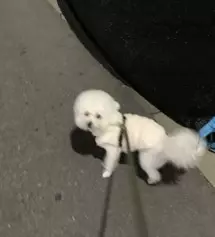 일할때 입으려고 샀는데 너무 편하네요 ㅠㅠ
