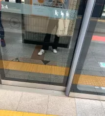 다른 바지 m사면 허리가 너무 딱 맞는데 이거는 편하고 핏도 짱 이뻐요ㅠㅜ재구매 의사