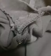 구매한지는 조금 되었지만 오늘 처음 입고 나갔어서 이제야 후기를 써요.
