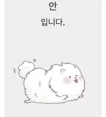 음 일단 핏 진짜 괜찮고 편해요ㅠ이렇게 좋은 슬랙스는 처음 입어봐요
