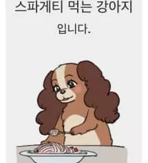 음 일단 핏 진짜 괜찮고 편해요ㅠ이렇게 좋은 슬랙스는 처음 입어봐요
