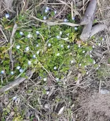 완전 맘에 들어요 보풀만 안일어낫으면 하네요
