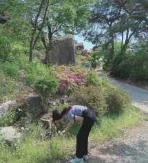 다른 슬랙스 비슷하게 생긴것들 다 구매해보았지만 5개 다 실패했었는데 
