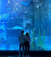 너무 편하고 좋아용!!! 저렴한가격에 잘 산것 같네요! 다리도 길어보이구요