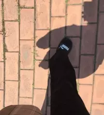 맨날 바지 사면 기장 줄이는거 생각하고 샀는데 이거는 바지 기장 줄일 걱정 없어서 너