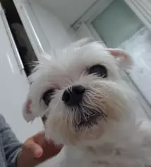 생각보다날씬해보임굿
