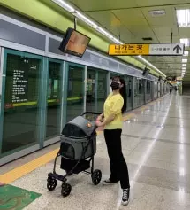 반하이 모찌 슬랙스 주기적으로 구매하고 있어요!
