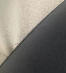 슬랙스를 고고싱에서만 사는데 그만큼 사이즈도 잘 맞고 괜찮아서 시키는 거 였는데 이