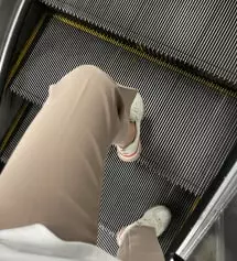 블랙이랑 모카 베이지
