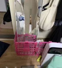 다들 이거 웨 안 입어?.. 완전 찰떡 ㅜㅜ 진짜 쫀쫀하고 몸에 착 달라붙어서 진심 예뻐