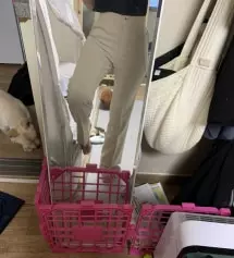 다들 이거 웨 안 입어?.. 완전 찰떡 ㅜㅜ 진짜 쫀쫀하고 몸에 착 달라붙어서 진심 예뻐