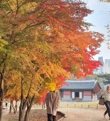 몇번째 구매인지 기억이 안 날 정도로 주기적으로 재구매하고 있어요. 일주일에 다섯 번