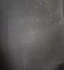 너무 잘 입고 다녀서
