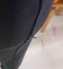 바지는 진짜편한데 실밥처리가 잘안되어있네요