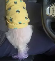 검정 라지 사고 편해서 네이비 구매했어요
