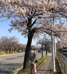역시 인기가 많은 이유가 있나봐요 제가 키가 작은데도 부츠컷 느낌 나고 색깔도 딱 봄