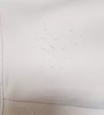 2시간 출퇴근 1회착용에 보플발생 불량이 아니라고 함 바지가 1회용인가 의문스러움 사