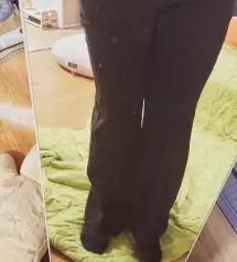 배송은 2주이상에
