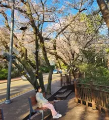 딱 배송오자마자 와 이건 색깔이 너무 이뻐서 벚꽃보러갈때 입으면 너무 이쁘겠다고 생