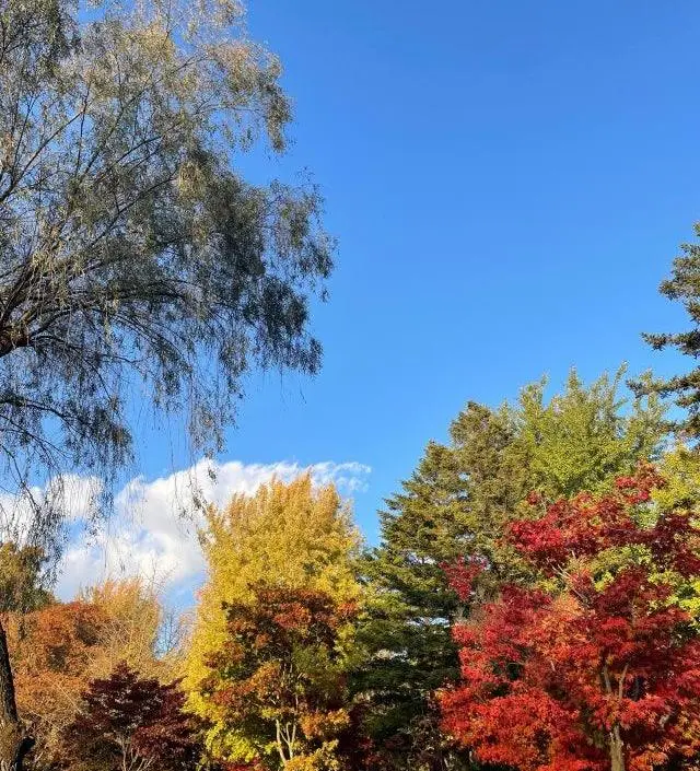 155 47키로 하체비만 M사이즈 딱이에용
