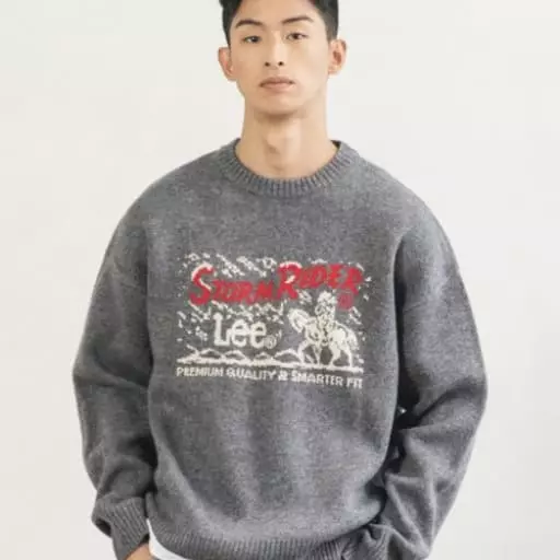 스톰라이더 크루넥 니트 그레이