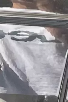 박시하게 입으려고 라지 샀는데 어어엄청 박시해요 엠 사도 됐을 뻔! 리가 초록색이라 